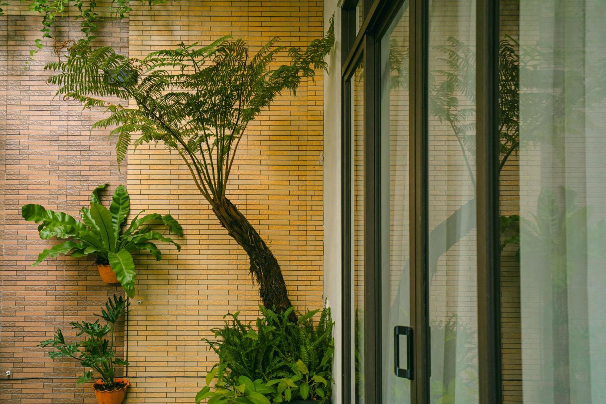 Beach Palm Villa 호이안 외부 사진